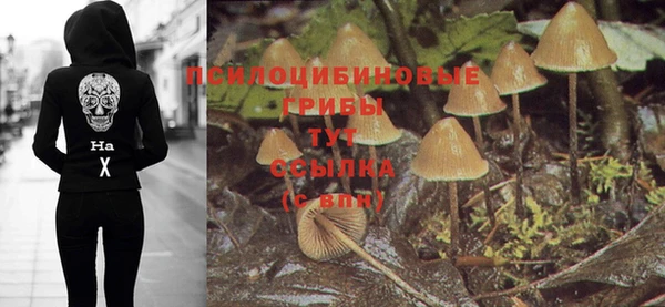 марки lsd Алексеевка
