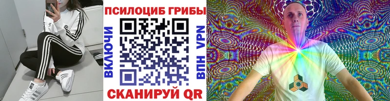 Купить Якутск Галлюциногенные грибы Cubensis